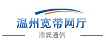溫州寬帶網(wǎng)廳logo